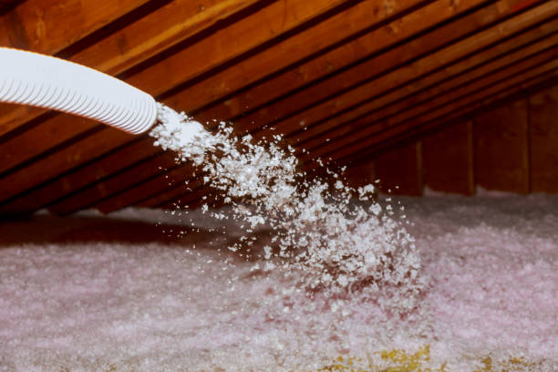 Best Local Insulation Services  in Rossville, IN